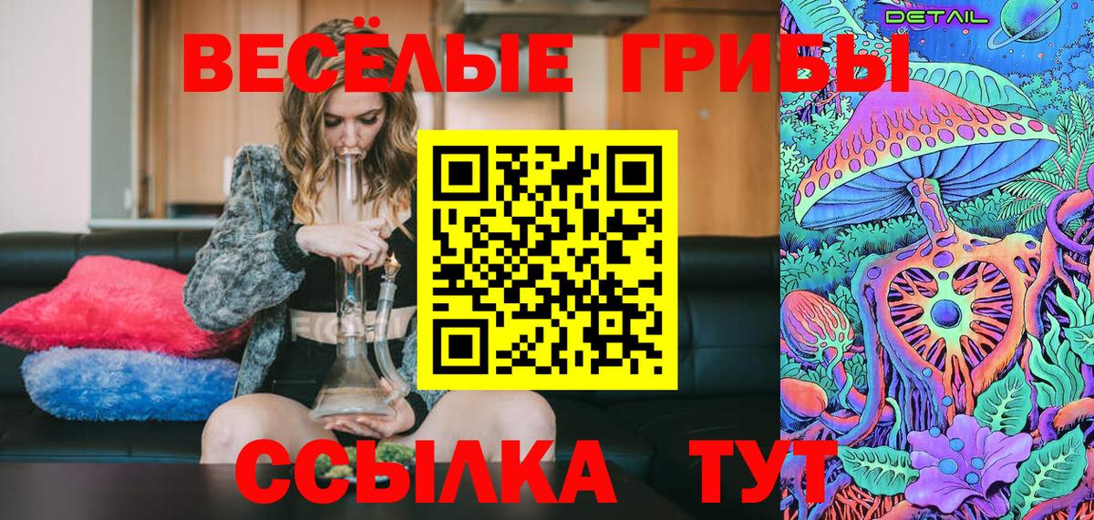 Выкса  Псилоцибиновые грибы Cubensis  как найти закладки  Вход с VPN 